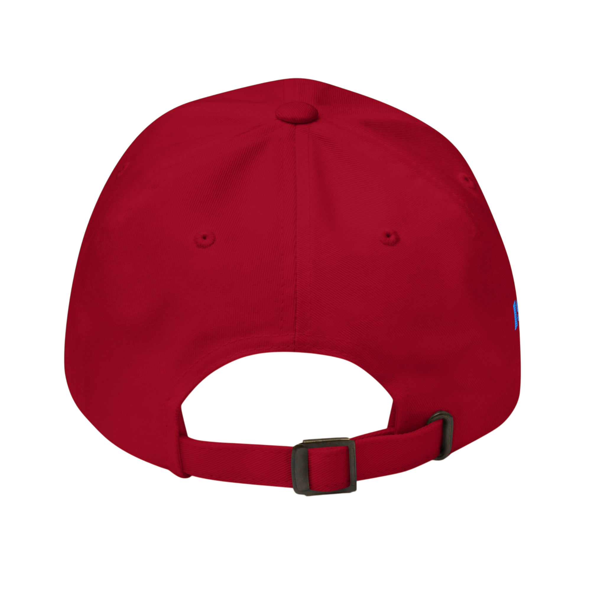 Washed Classic Dad hat - Cranberry, back