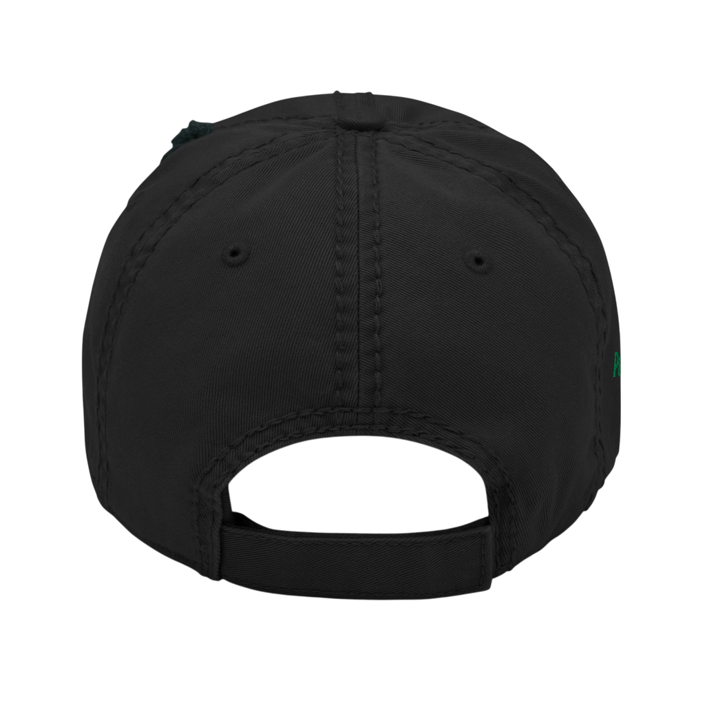 Sustained Distressed Dad Hat - Black, back