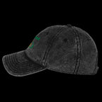 Sustained Vintage Dad Cap - Black, left side